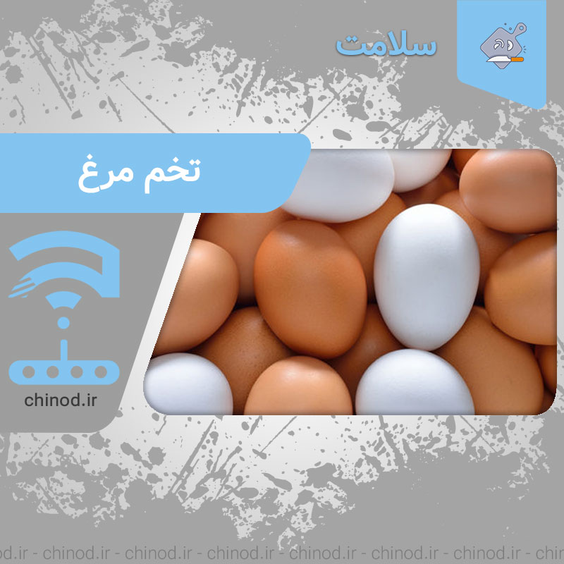 مصرف اصولی تخم مرغ Eggs چینود chinod
