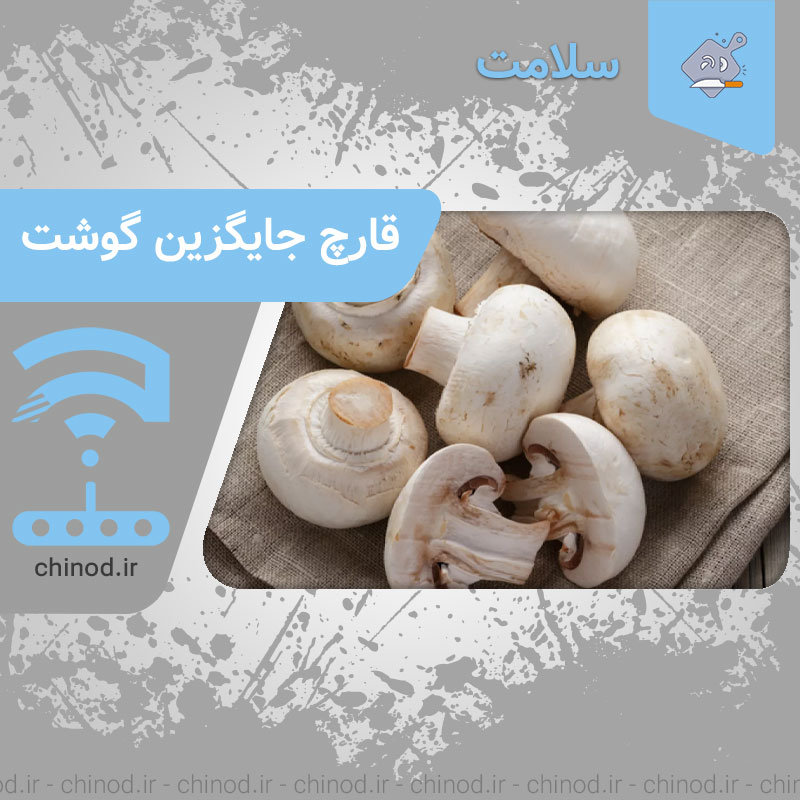 قارچ جایگزین گوشت Mushroom چینود chinod