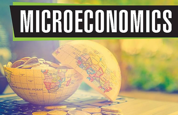 اقتصاد خردWhat is microeconomics? چینود