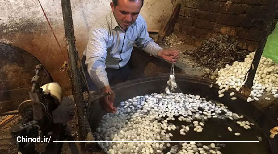 روستای بسک و دنیای ابریشم