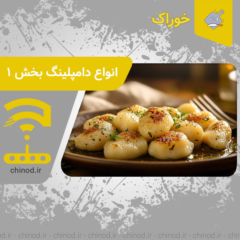 انواع دامپلینگ خوشمزه بخش اول Dumpling چینود chinod