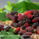 میوه مناسب افراد دیابتی Fruit suitable for diabetics چینود