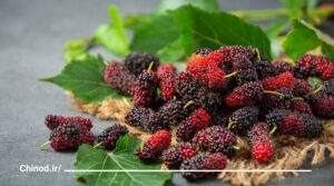 میوه مناسب افراد دیابتی Fruit suitable for diabetics چینود