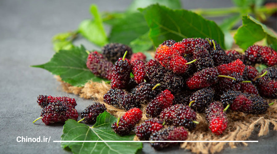 میوه مناسب افراد دیابتی