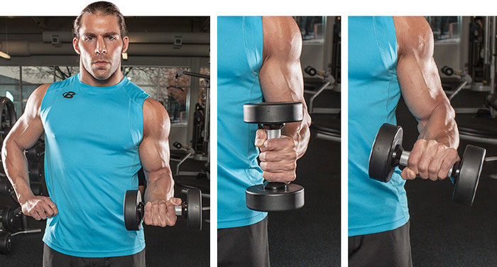 معرفی دستگاهای بدن سازی Bodybuilding equipment چینود chinod