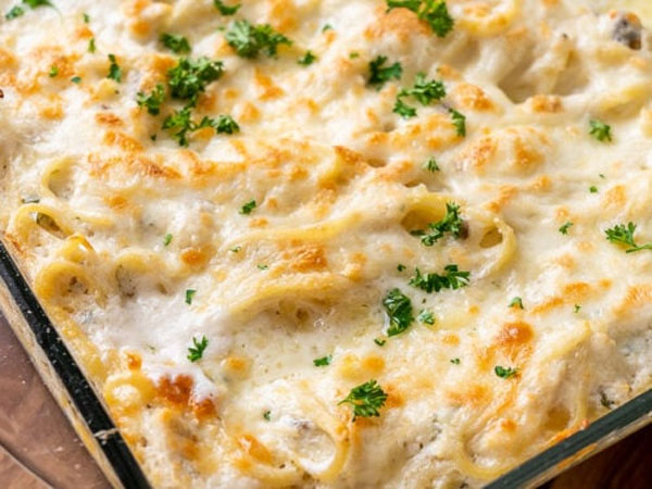 پاستای کسرول تترازینی با مرغ Tetrazzini Pasta Casserole with ChickenPasta انواع پاستا خوشمزه بخش 2 چینود chinod 