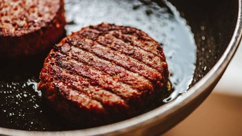 رژیم مخصوص گیاه خواران بخش 1 Vegetarianism چینود chinod 