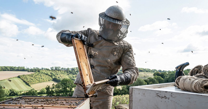 مرد زنبوردار The Beekeeper چینود chinod 