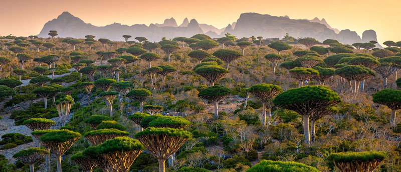 Hillier Lake مکان های عجیب جهان بخش 5 چینود chinod 