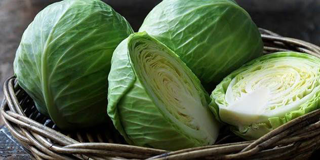 رژیم سوپ کلم cabbage soup diet چینود chinod