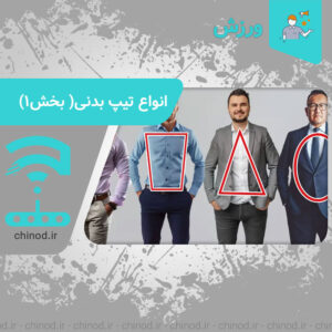 انواع تیپ بدنی body types چینود chinod
