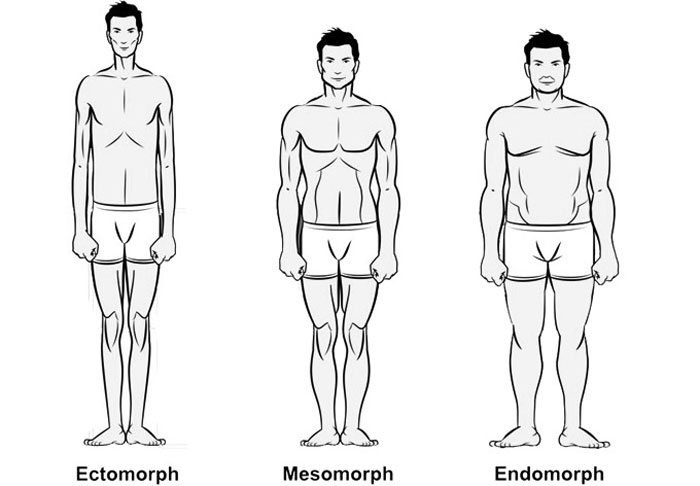 انواع تیپ بدنی body types چینود chinod