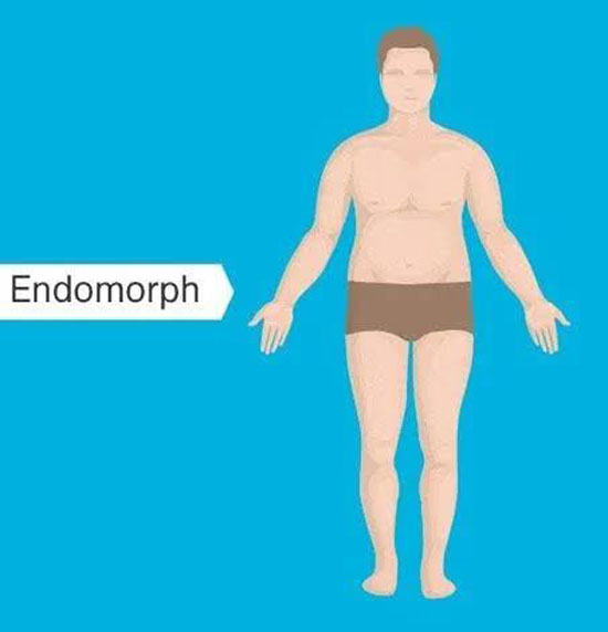 انواع تیپ بدنی body types چینود chinod