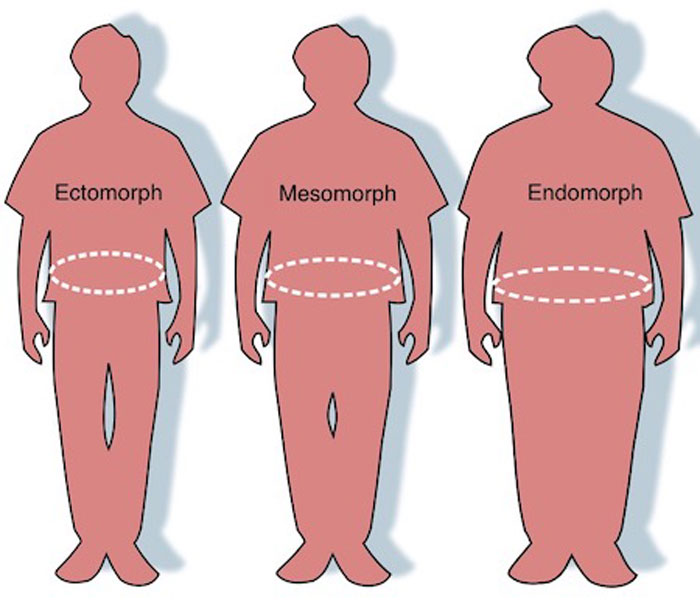 انواع تیپ بدنی body types چینود chinod